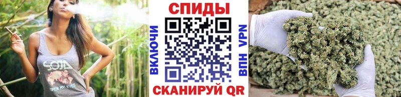 Купить где  Кондопога  Бутират буратино 