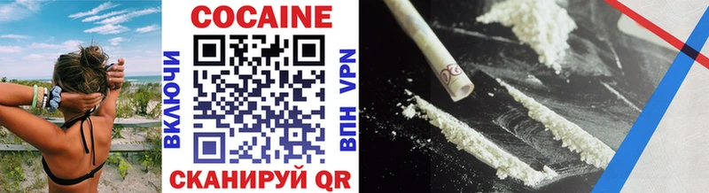 Купить закладки  Кондопога  COCAIN Fish Scale 