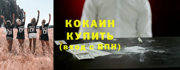 не бодяженный Горно-Алтайск