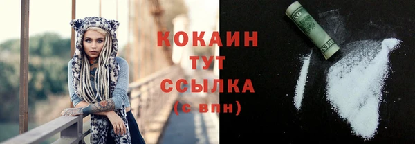 не бодяженный Горно-Алтайск