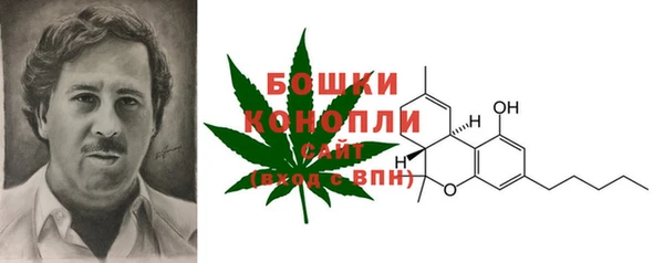 не бодяженный Горно-Алтайск