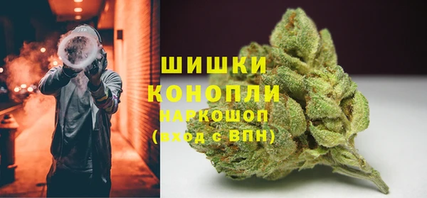 не бодяженный Горно-Алтайск